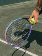 Radical MP Palm Tree 2025/2026